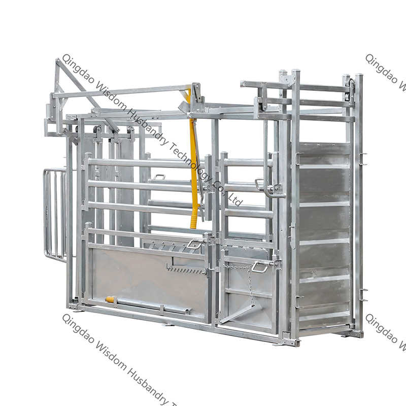 cattle crush Buy Cattle Squeeze Chute, heavy duty crush, cattle